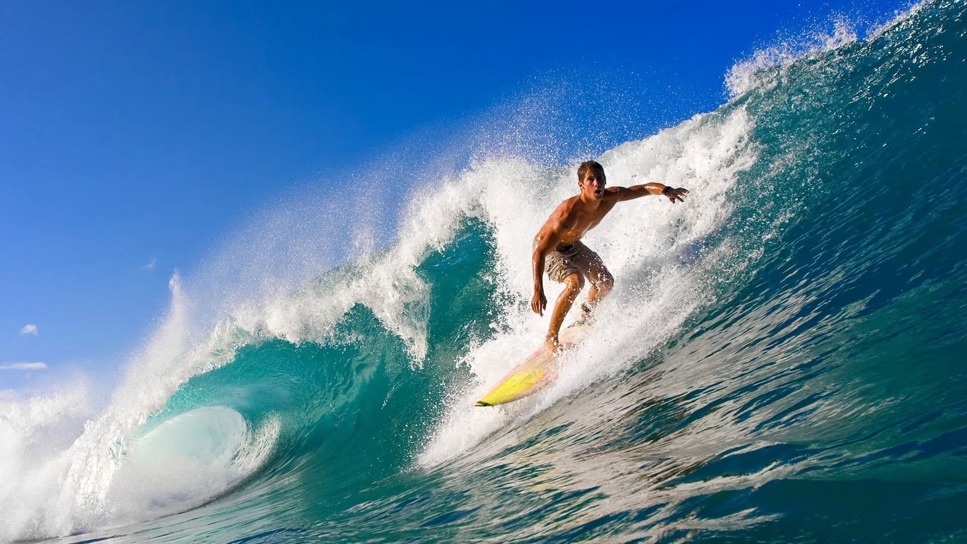 九游网页版入口-“2025世界运动会：运动舞蹈赛场，舞者以极限动作挑战完美姿态”