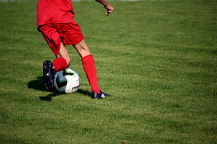 九游jiuyou-青训球员选拔机制存在结构性偏见，青训选拔喜欢那种球员